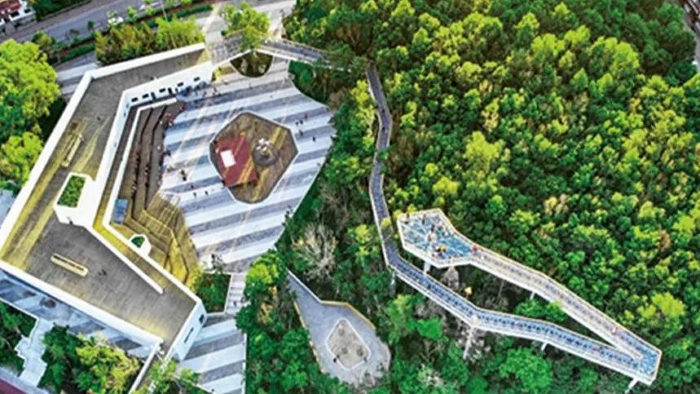 长白山美人松空中廊桥公园 参考图 1